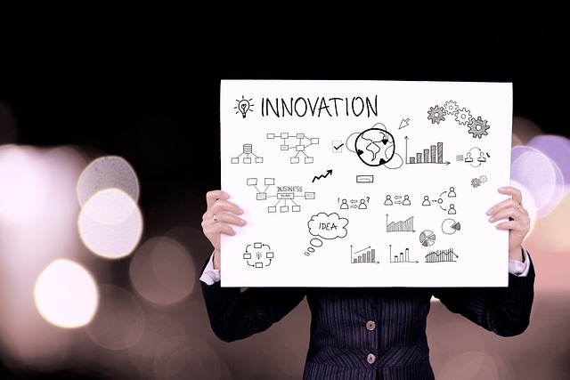 Que définit-on par innovation ?