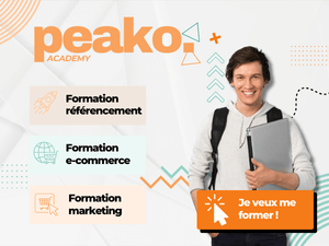 Encart publicitaire Peako Academy / coach marketing