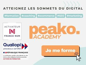 peako academy formation coaching