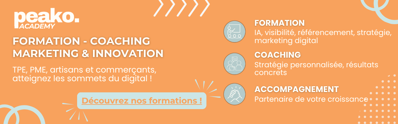 formation marketing, e-commerce, SEO et IA